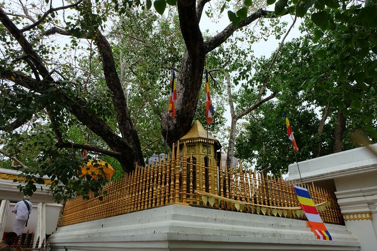 Manipur